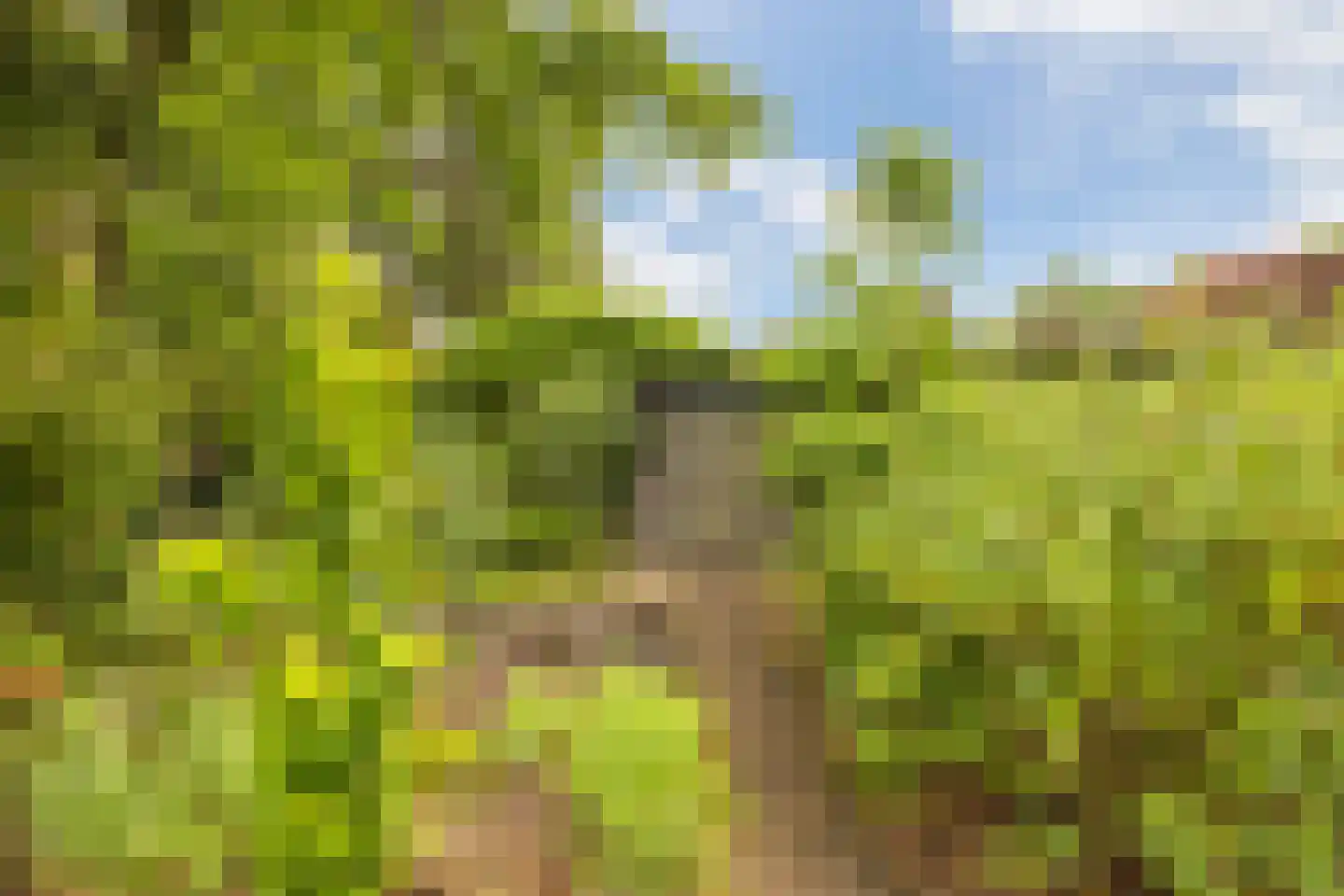 Sophialaan 27 Ermelo thumbnail 43