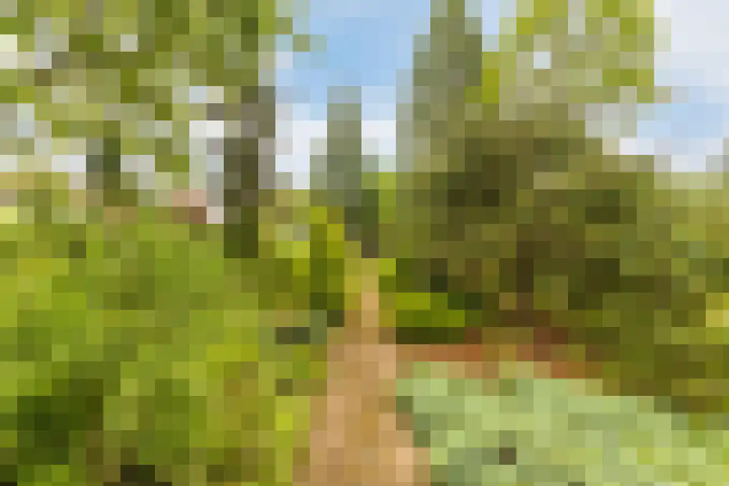 Sophialaan 27 Ermelo thumbnail 48