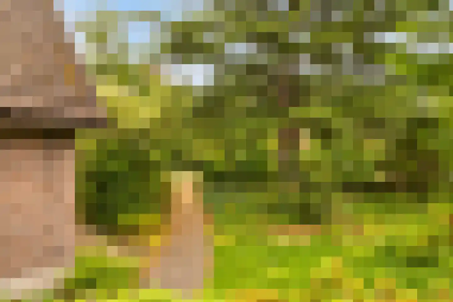 Sophialaan 27 Ermelo thumbnail 50