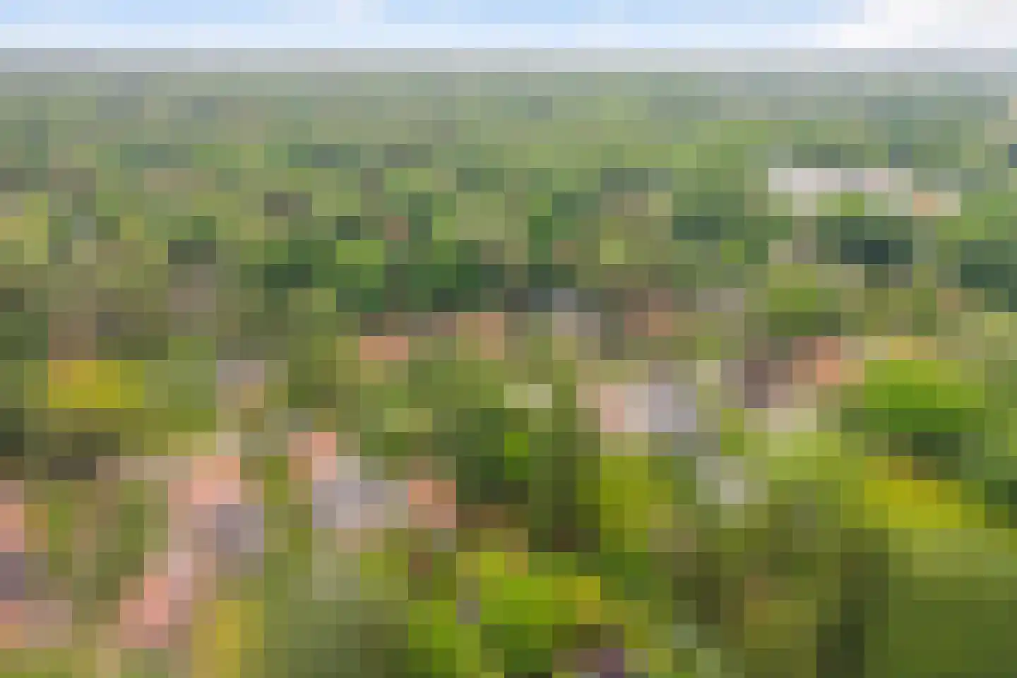 Sophialaan 27 Ermelo thumbnail 58