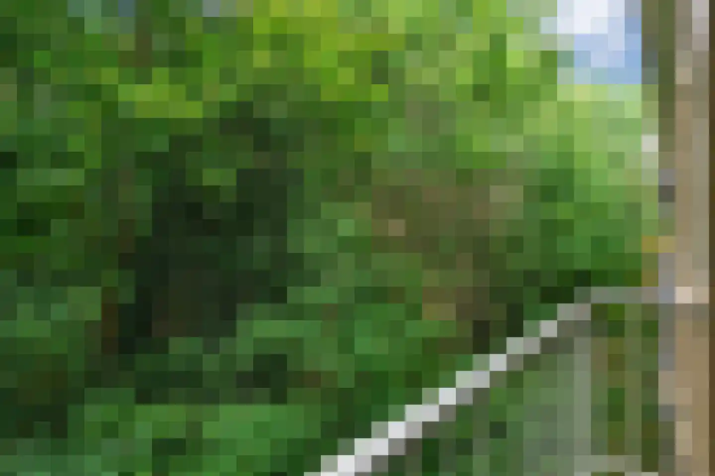 Sophialaan 29 1 Zeist thumbnail 21