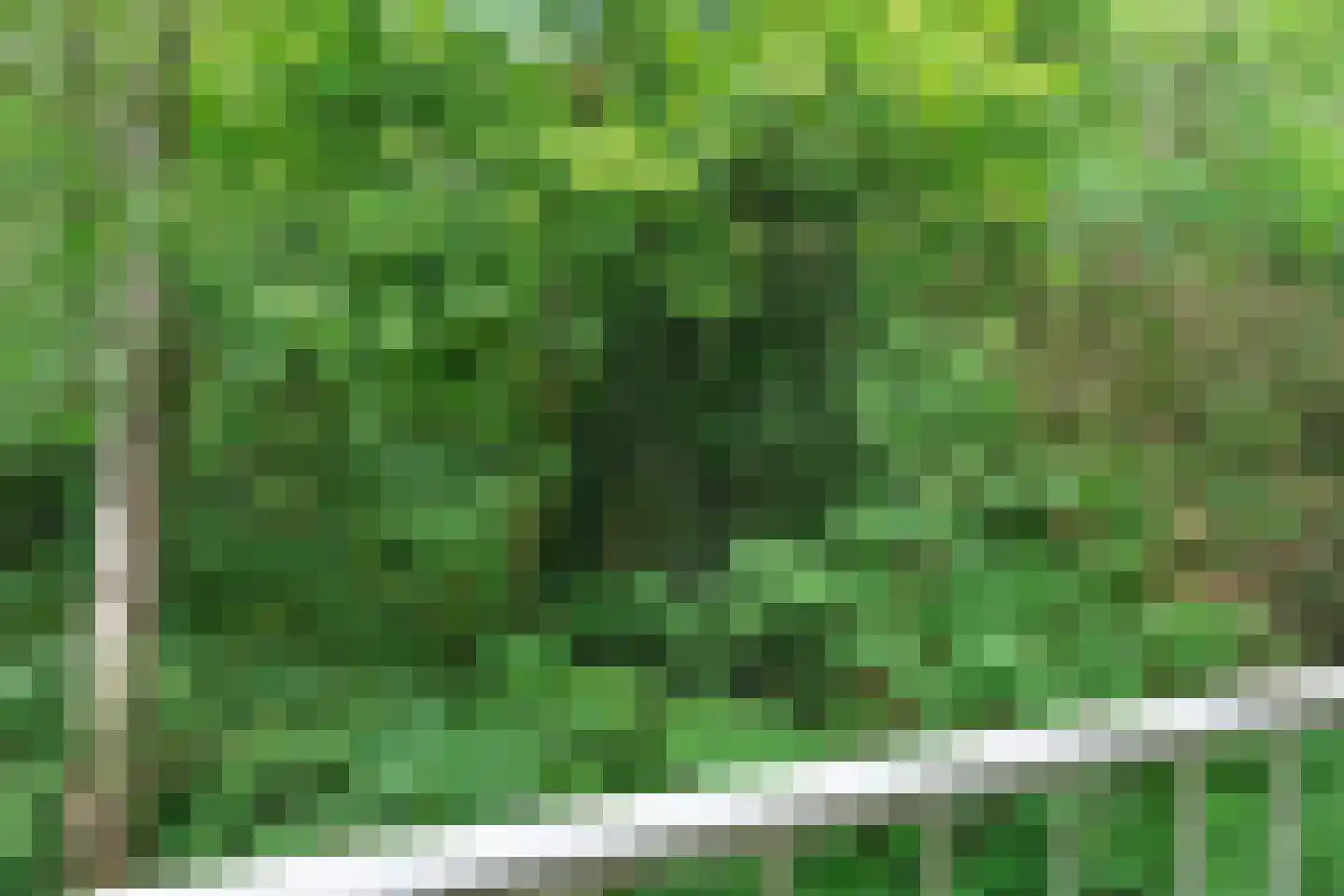 Sophialaan 29 1 Zeist thumbnail 22