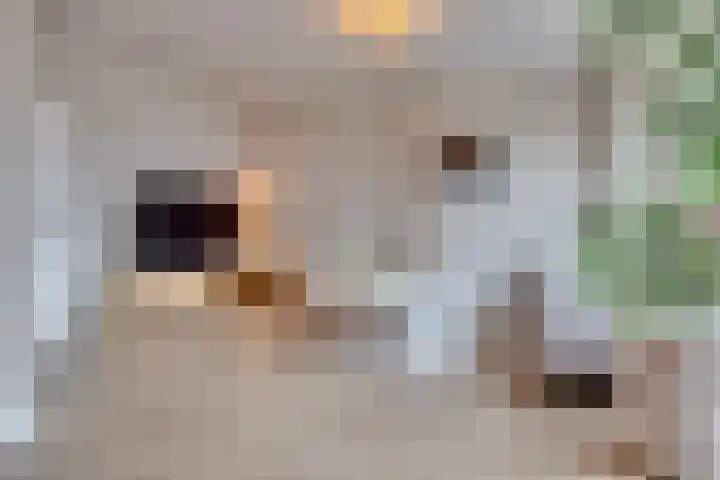 Sophialaan 3 2 Zeist thumbnail 11