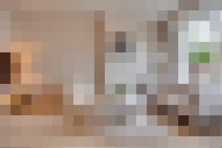 Sophialaan 3 2 Zeist thumbnail 12