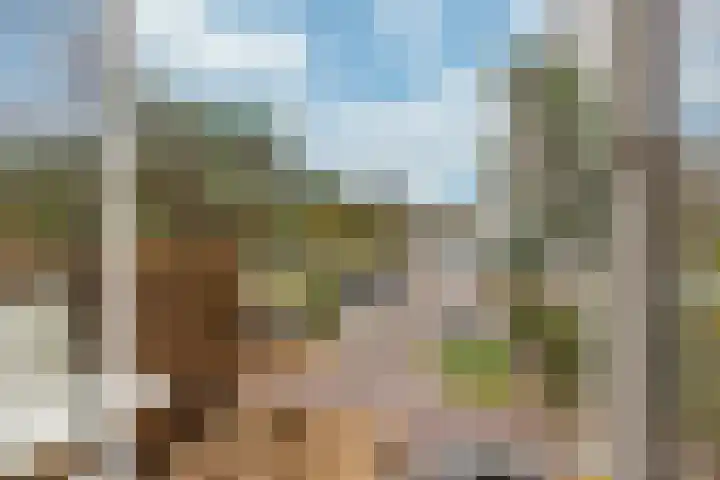 Sophialaan 3 2 Zeist thumbnail 13