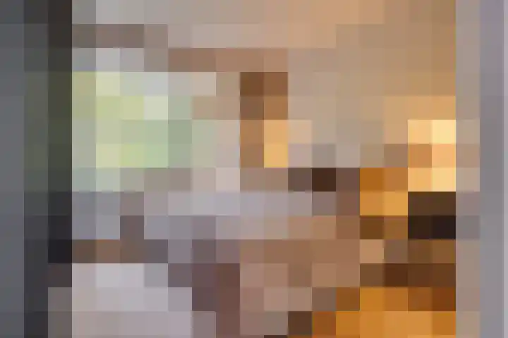 Sophialaan 3 2 Zeist thumbnail 16