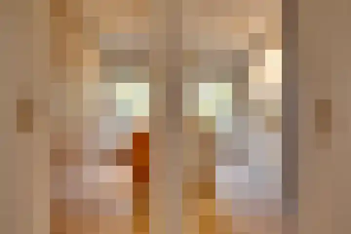 Sophialaan 3 2 Zeist thumbnail 19