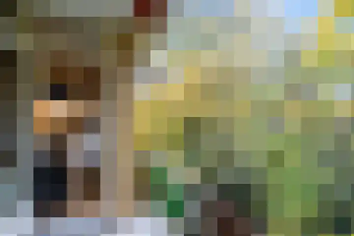 Sophialaan 3 2 Zeist thumbnail 24