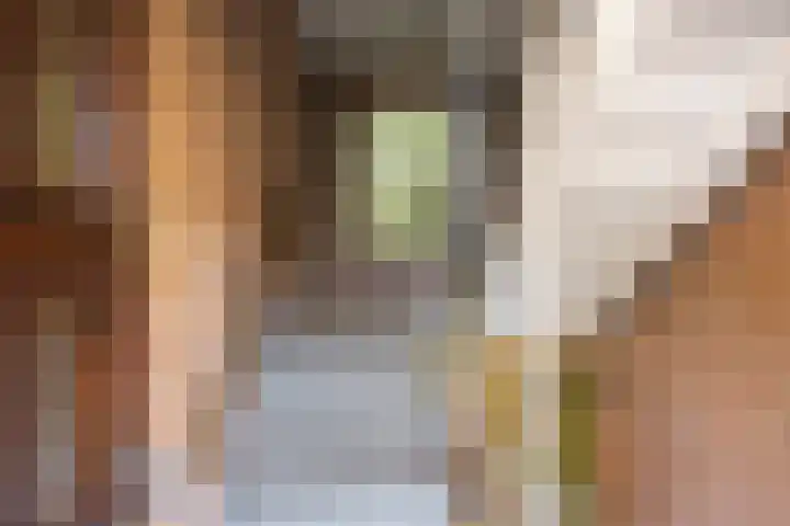 Sophialaan 3 2 Zeist thumbnail 5