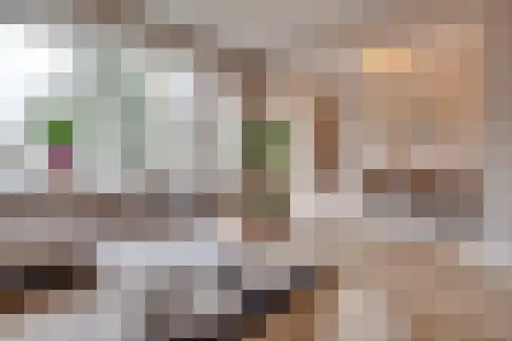Sophialaan 3 2 Zeist thumbnail 8