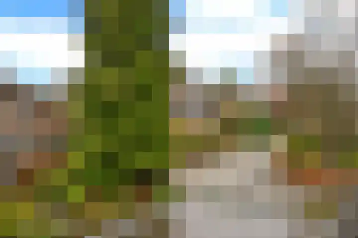 Sophialaan 3 Soest thumbnail 21