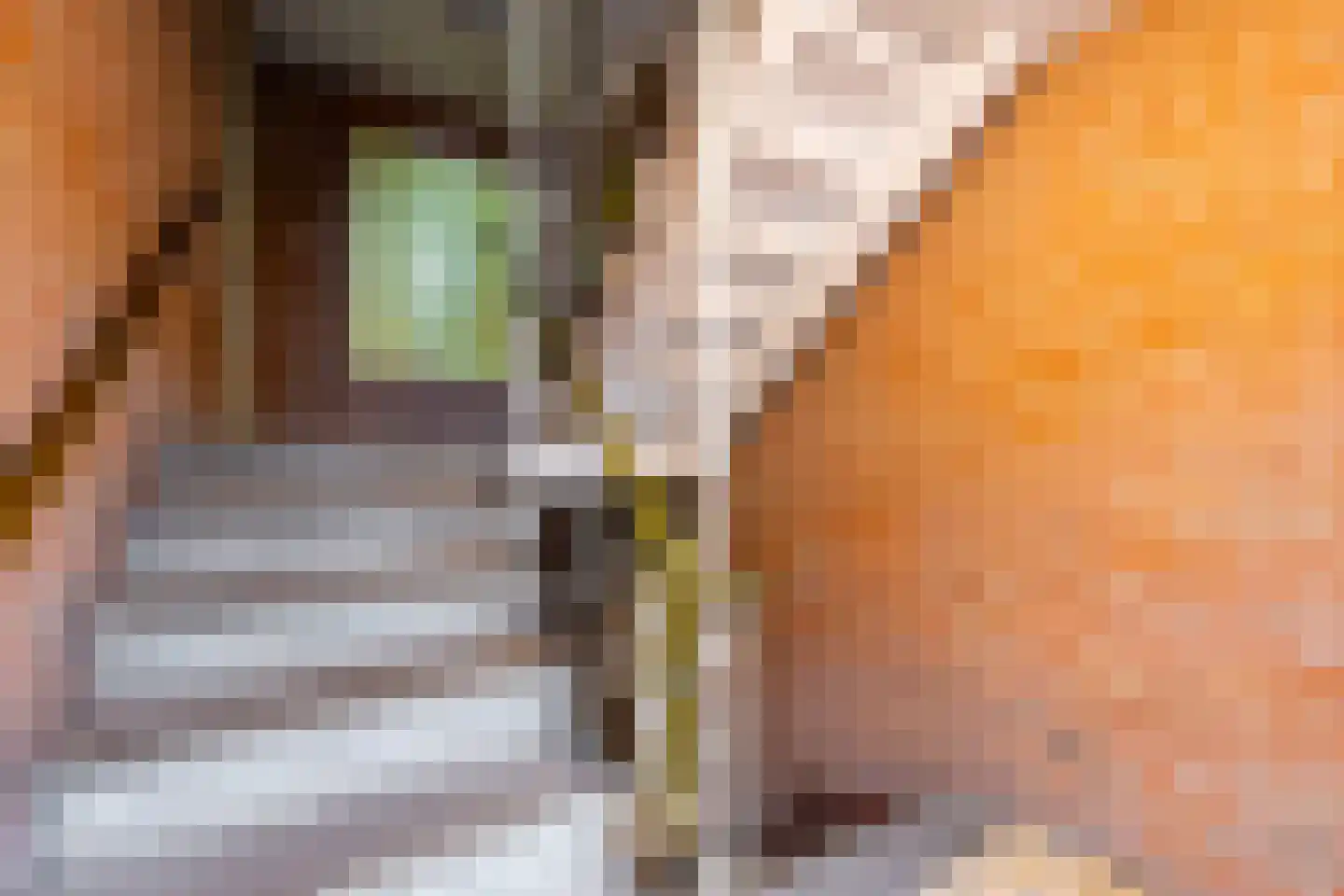 Sophialaan 3 Zeist thumbnail 24