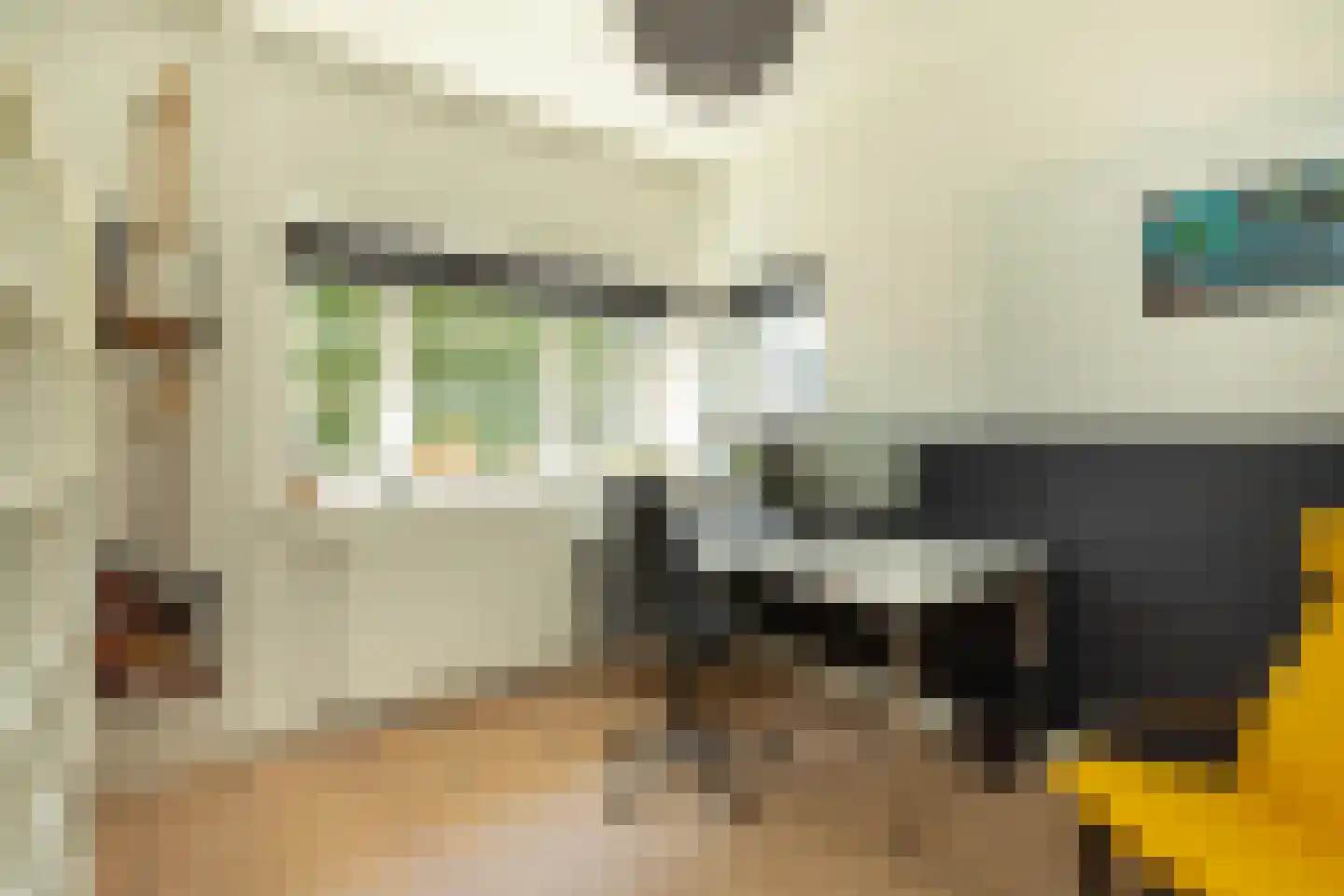 Sophialaan 31 Hilversum thumbnail 24