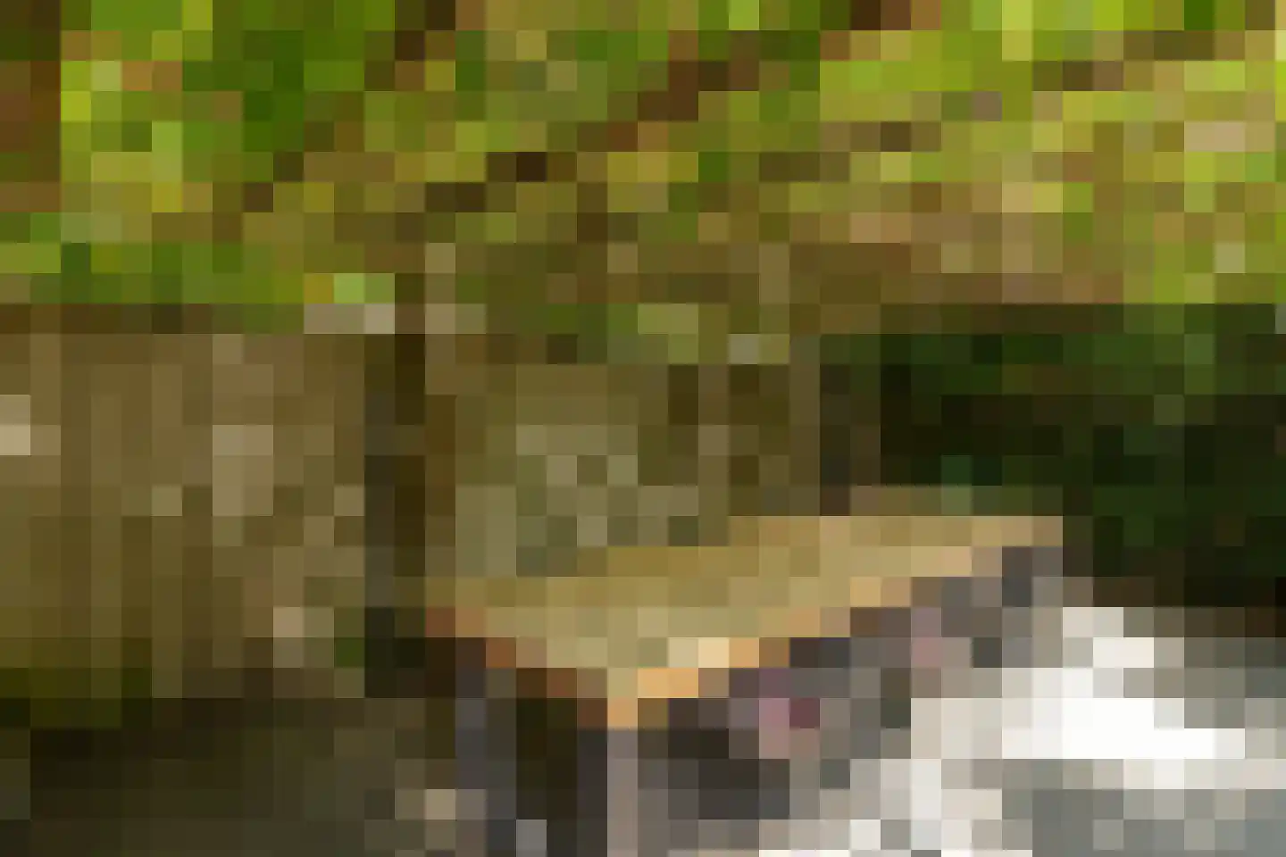 Sophialaan 31 Hilversum thumbnail 38
