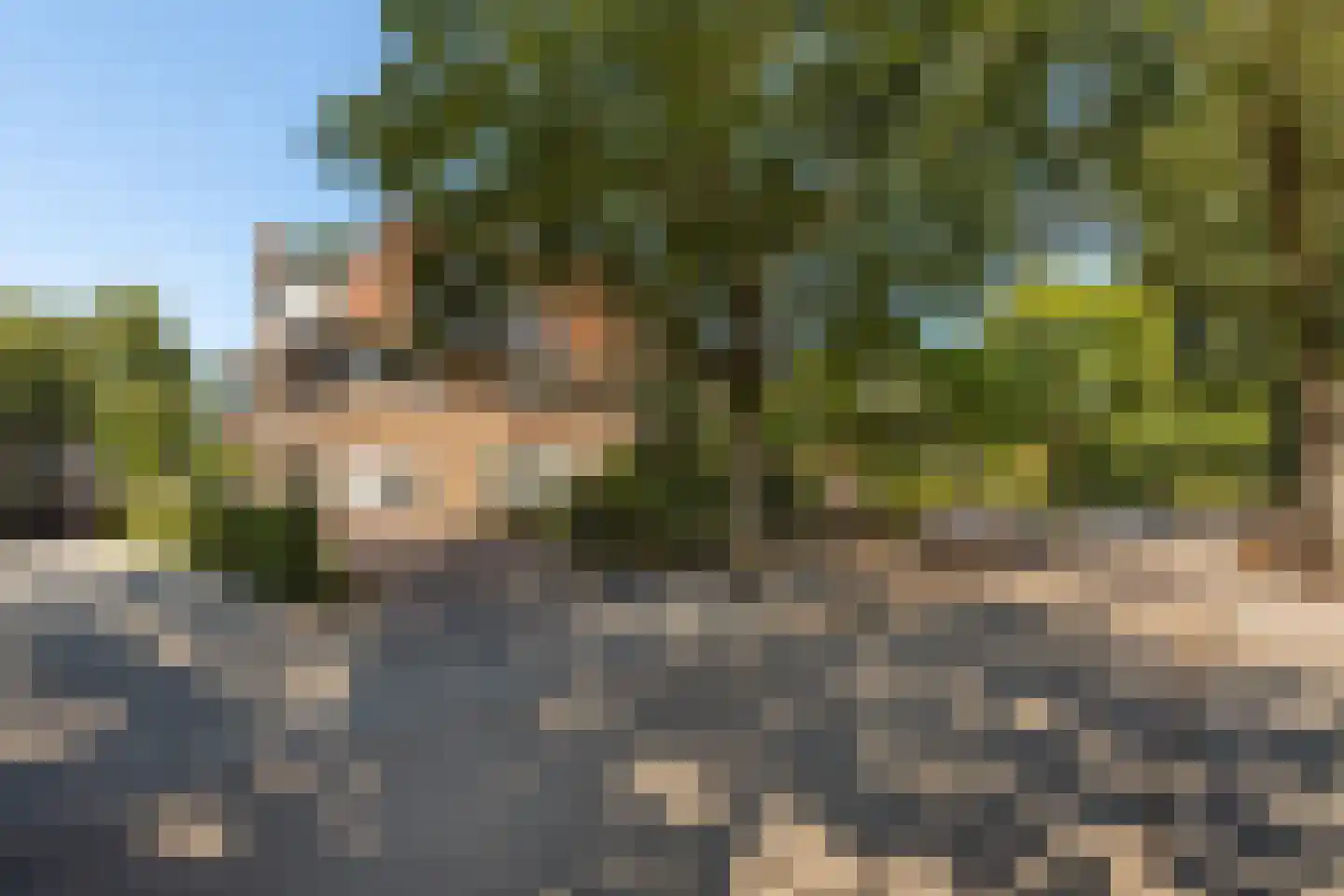 Sophialaan 31 Hilversum thumbnail 4