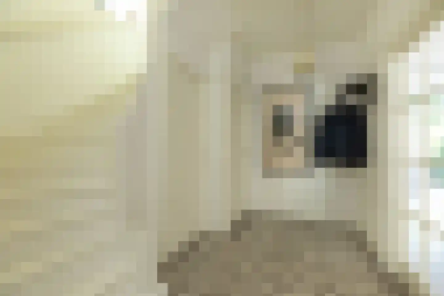 Sophialaan 31 Hilversum thumbnail 5