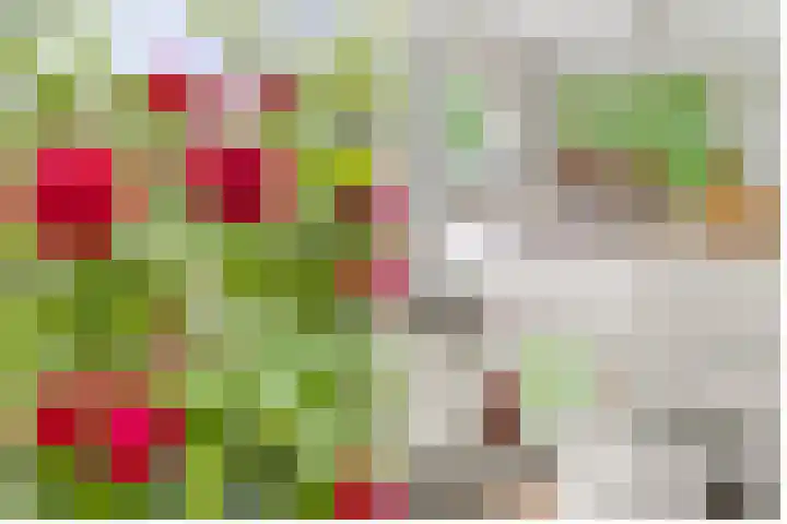 Sophialaan 35 1 Zeist thumbnail 13