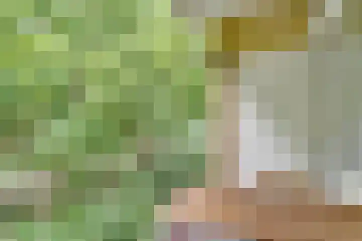 Sophialaan 35 1 Zeist thumbnail 17
