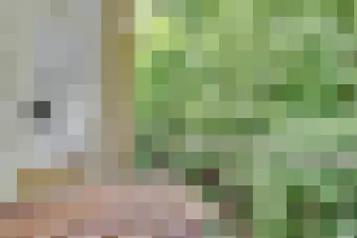 Sophialaan 35 1 Zeist thumbnail 18