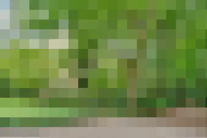 Sophialaan 35 1 Zeist thumbnail 28