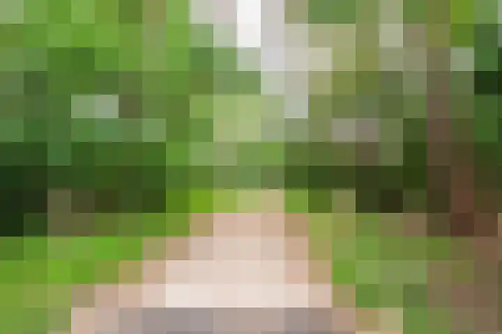 Sophialaan 35 1 Zeist thumbnail 29