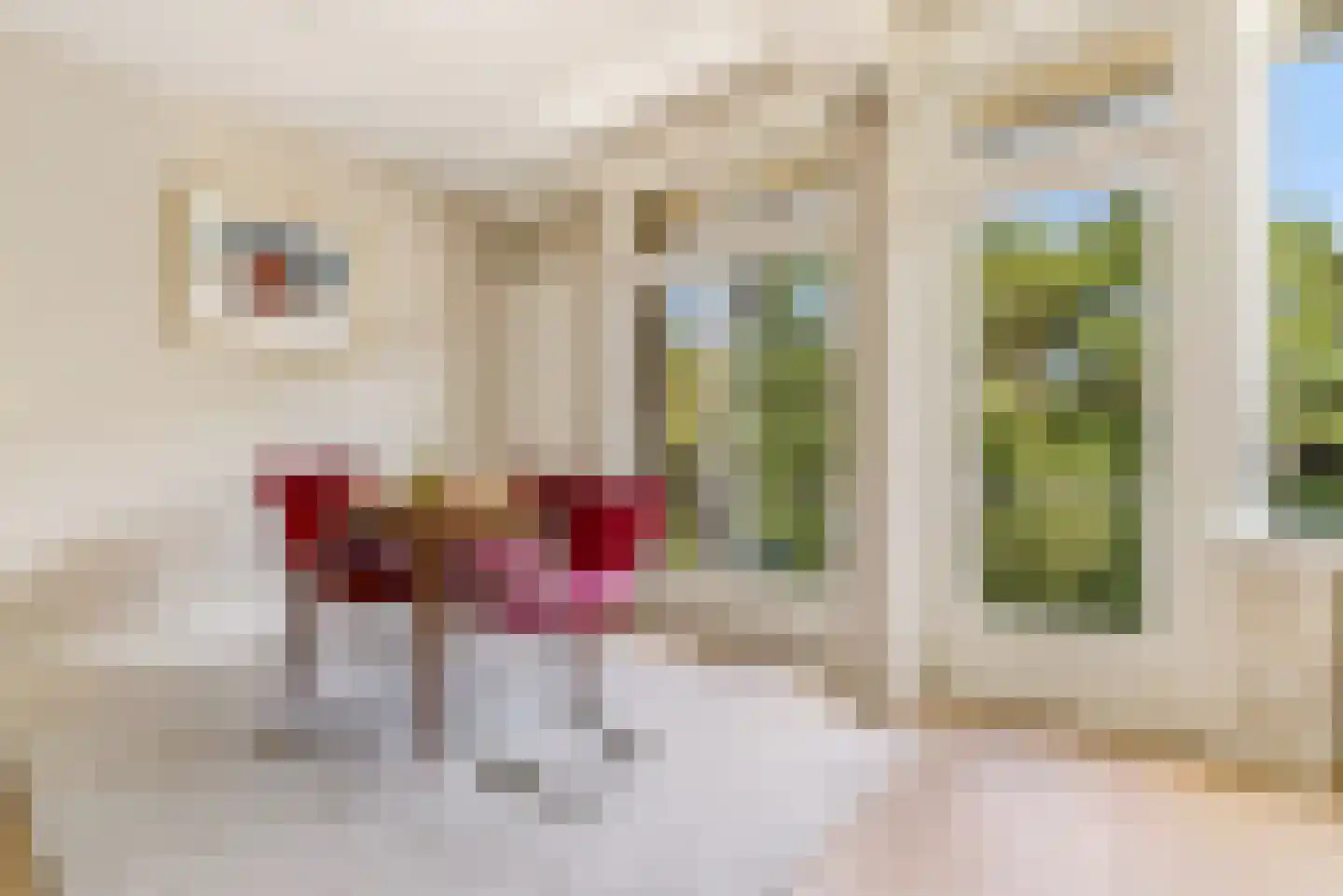 Sophialaan 37 2 Zeist thumbnail 16