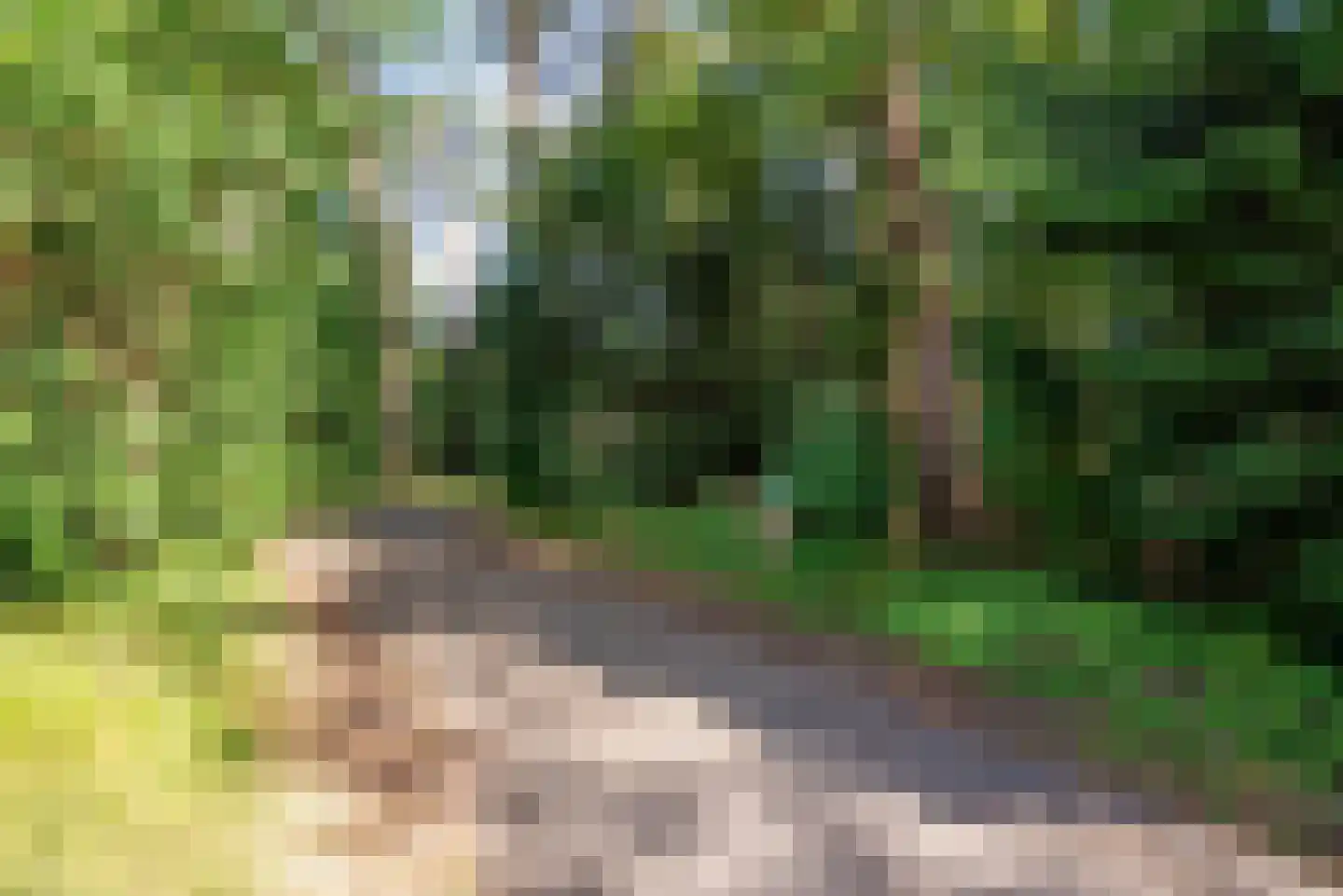 Sophialaan 37 2 Zeist thumbnail 36