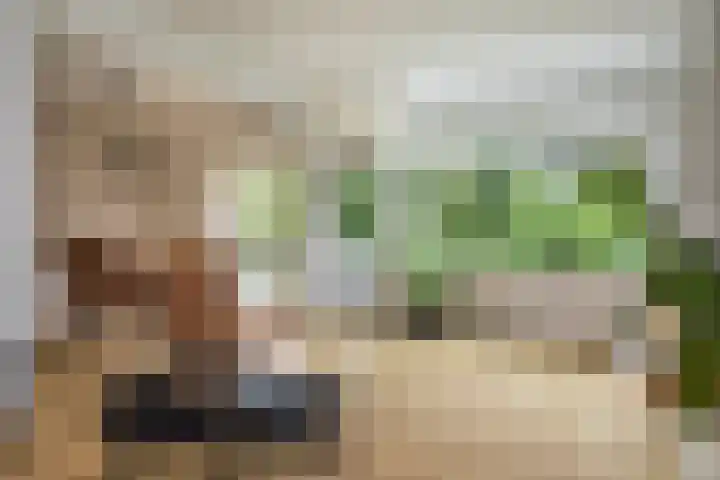 Sophialaan 37 Zeist thumbnail 12