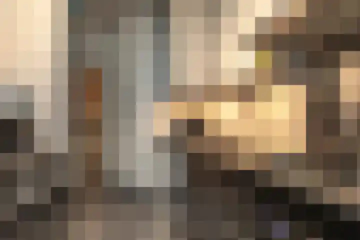 Sophialaan 37 Zeist thumbnail 15
