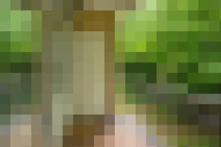Sophialaan 37 Zeist thumbnail 17