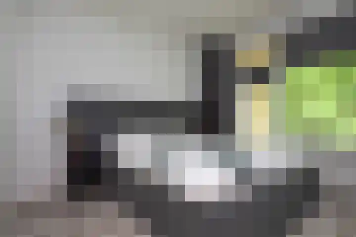 Sophialaan 37 Zeist thumbnail 18
