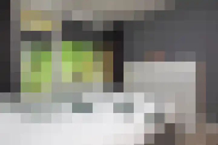 Sophialaan 37 Zeist thumbnail 19