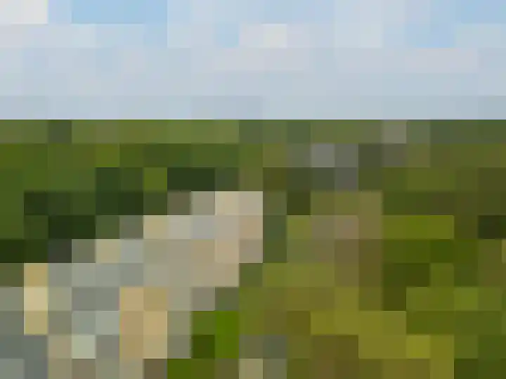 Sophialaan 37 Zeist thumbnail 27