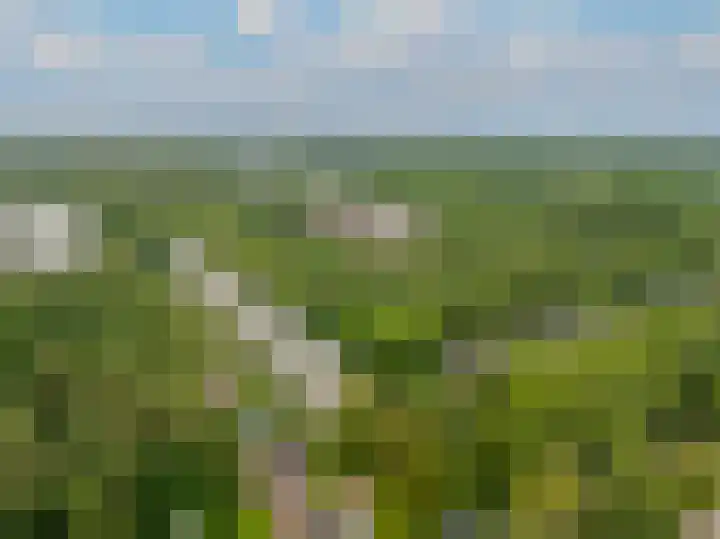 Sophialaan 37 Zeist thumbnail 28
