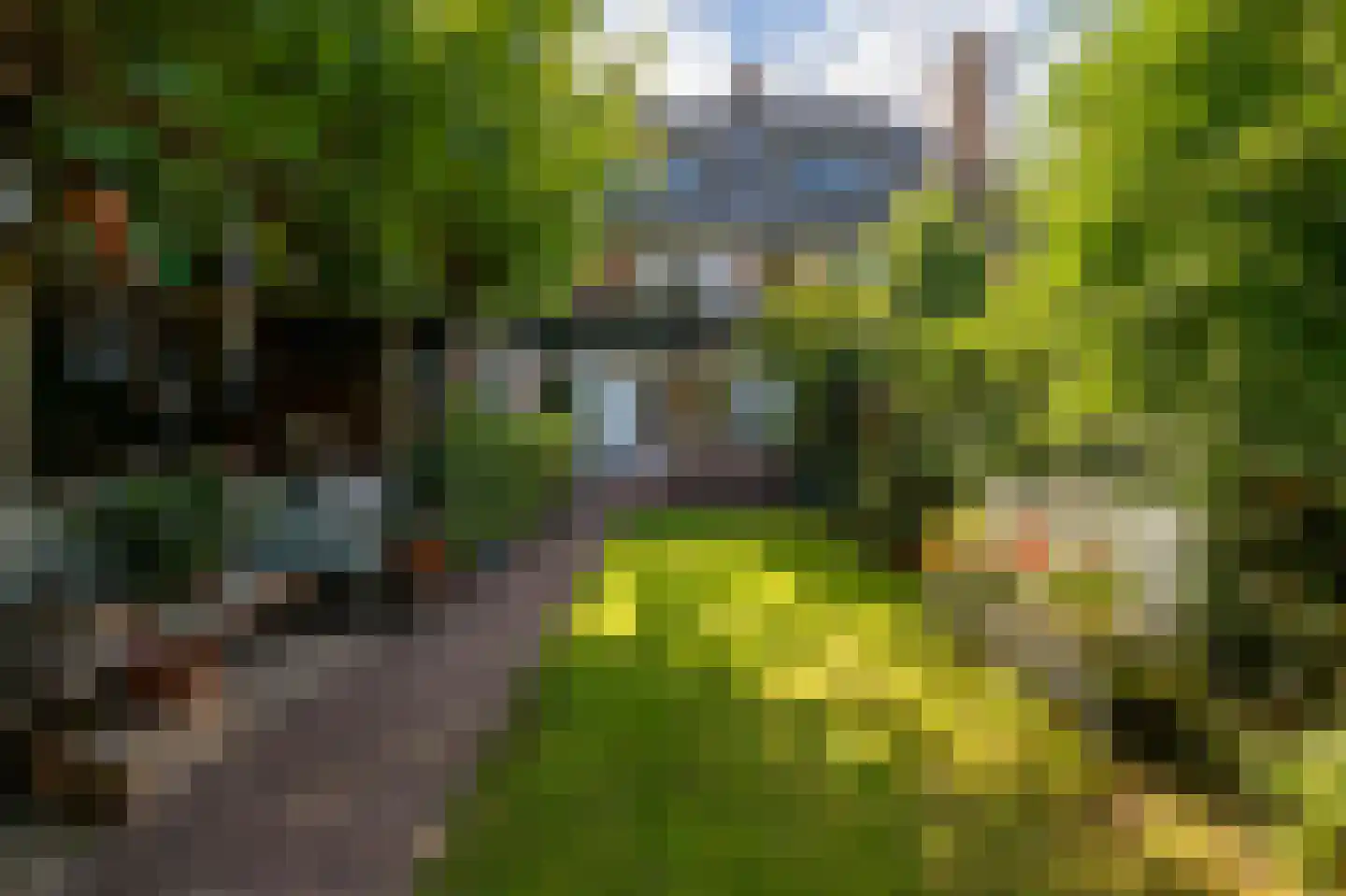 Sophialaan 39 Hilversum thumbnail 20