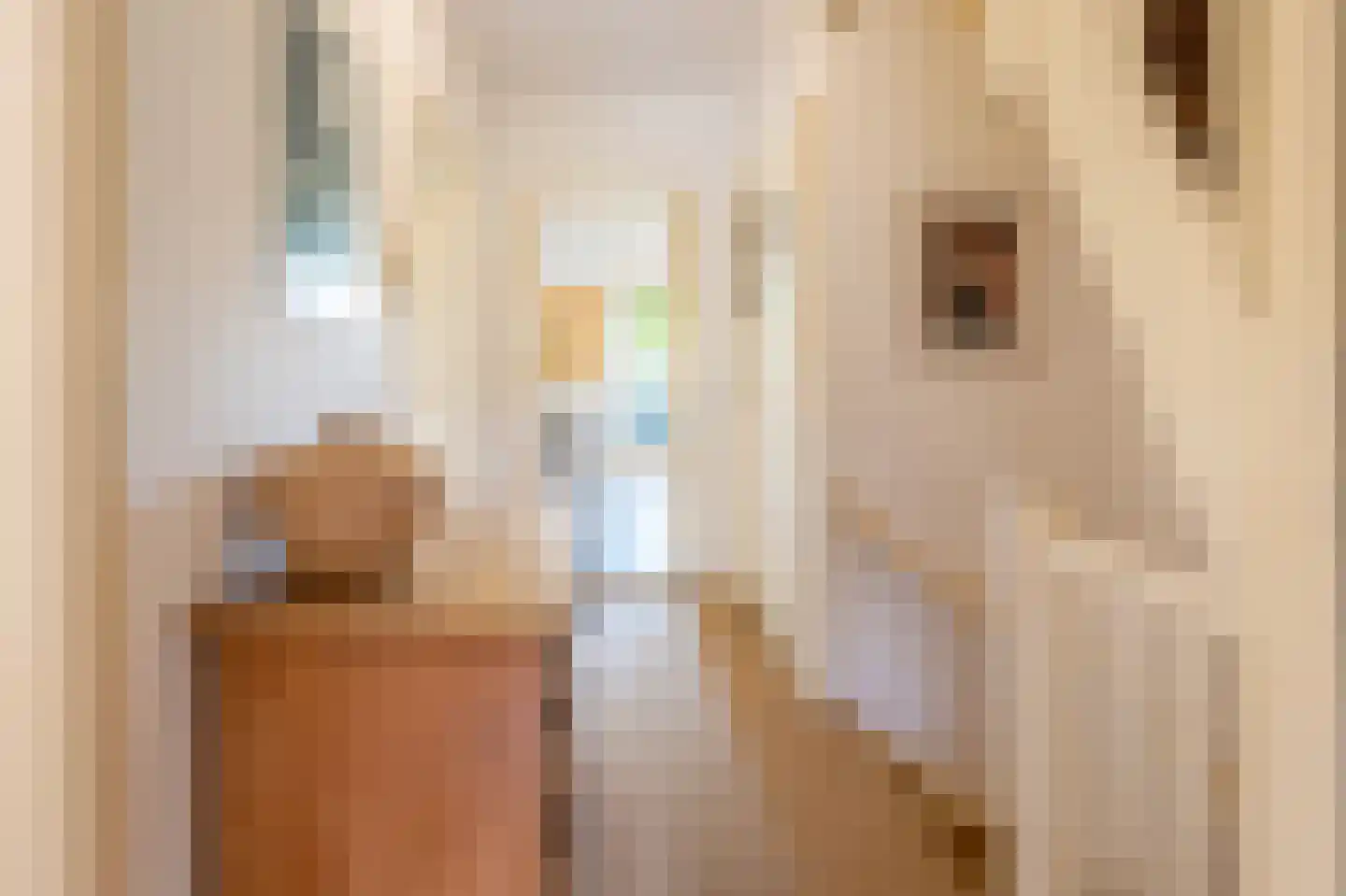 Sophialaan 39 Hilversum thumbnail 25