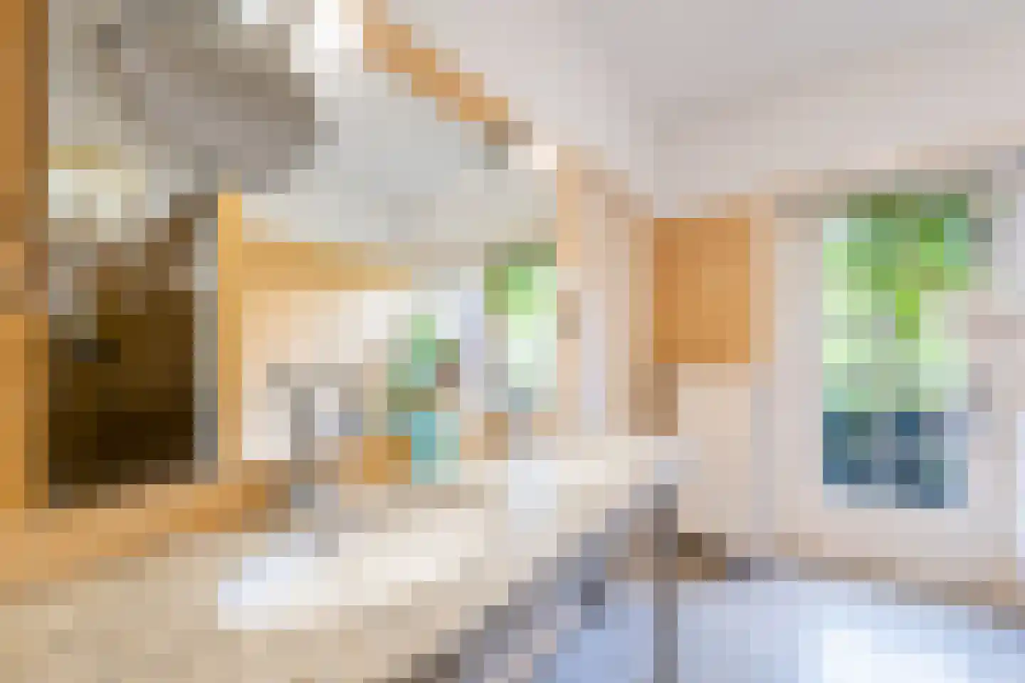 Sophialaan 39 Hilversum thumbnail 34
