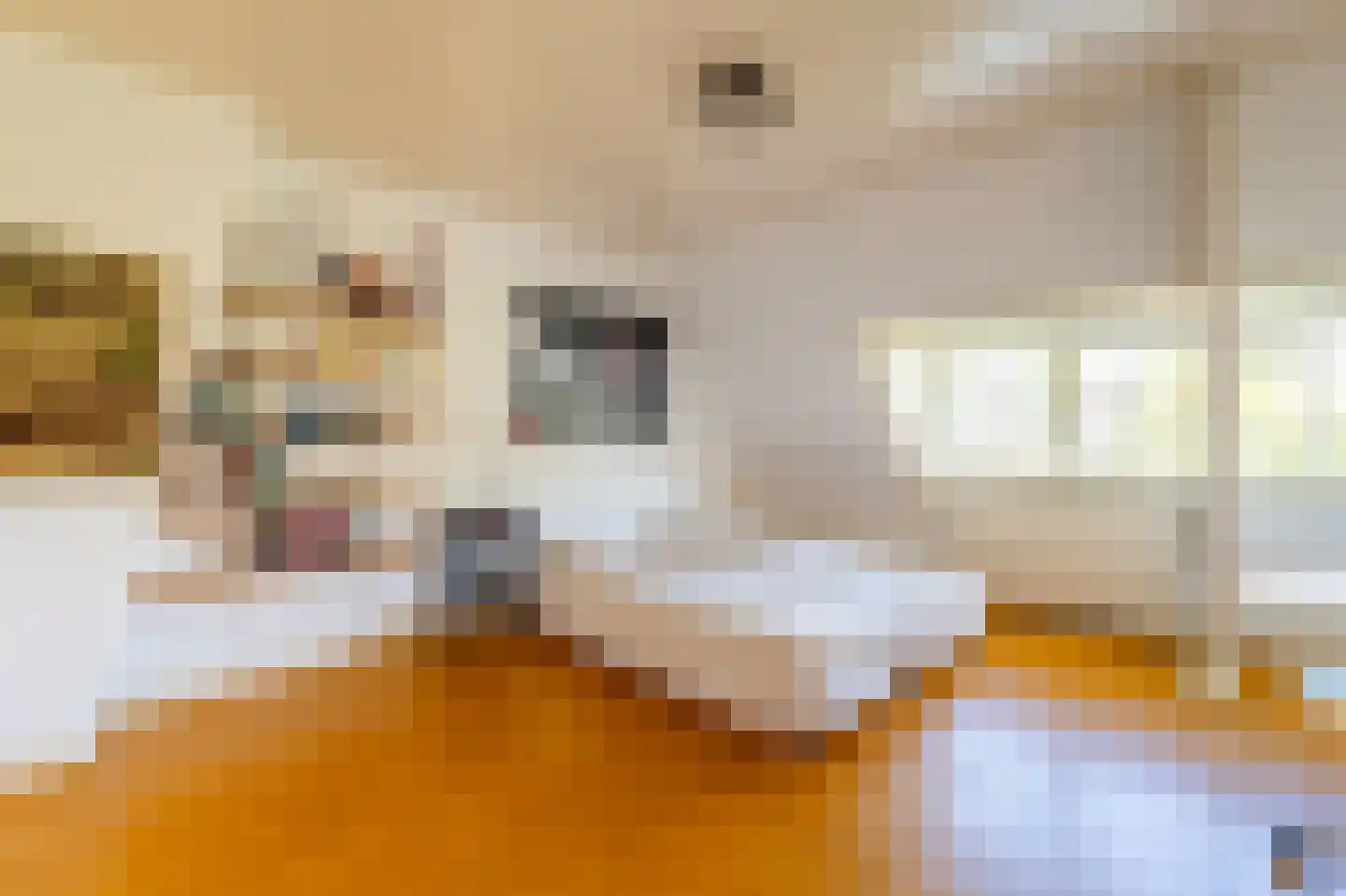 Sophialaan 39 Hilversum thumbnail 40