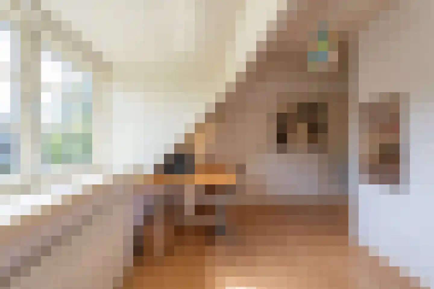 Sophialaan 39 Hilversum thumbnail 43