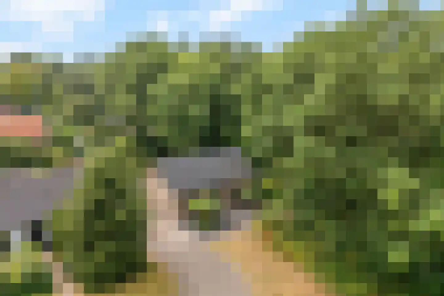 Sophialaan 43 Ermelo thumbnail 6