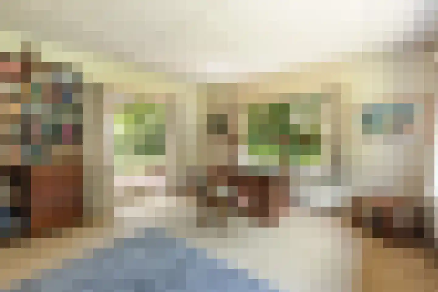 Sophialaan 46 Ermelo thumbnail 13