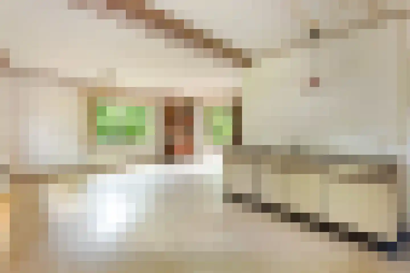 Sophialaan 46 Ermelo thumbnail 20