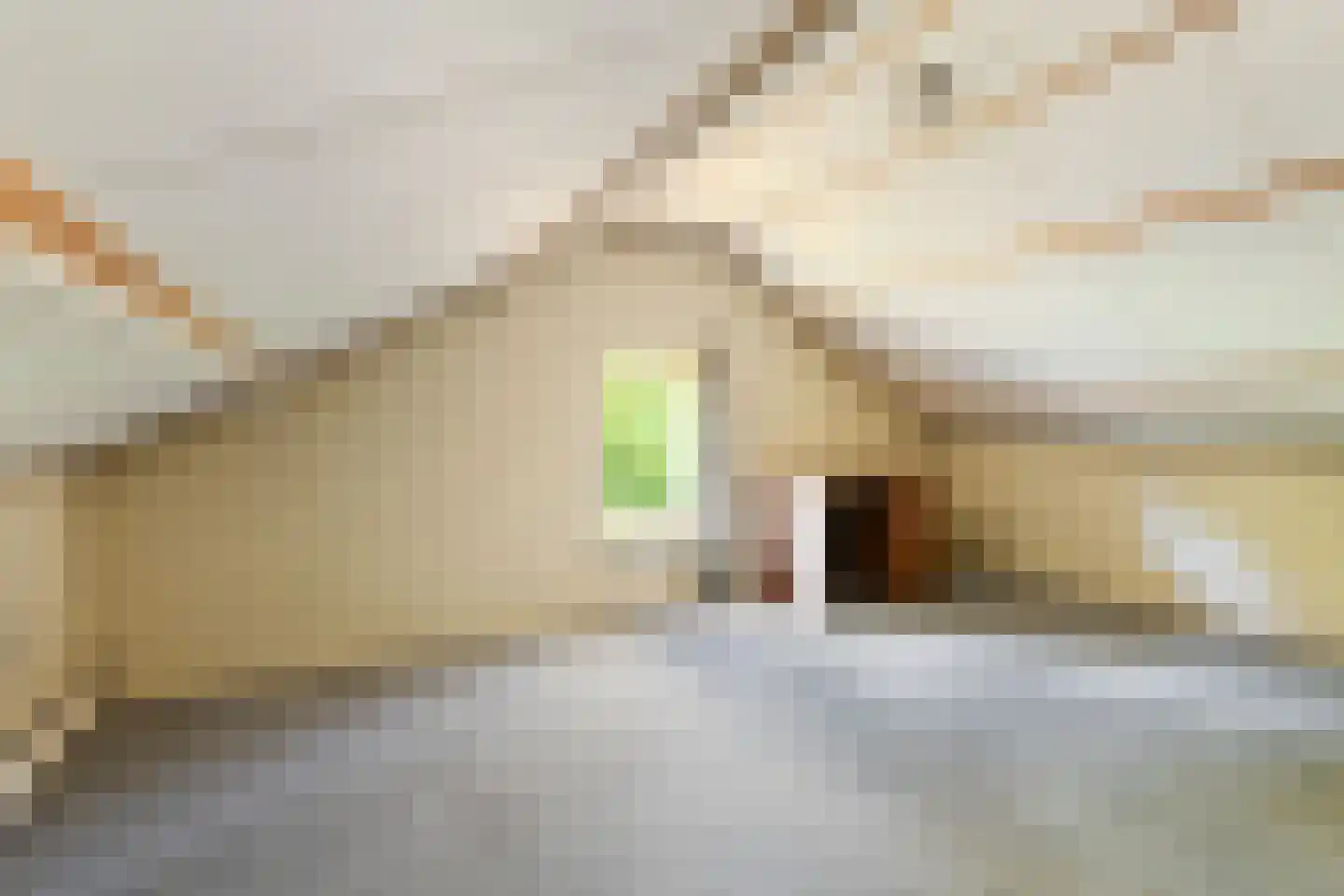 Sophialaan 46 Ermelo thumbnail 35