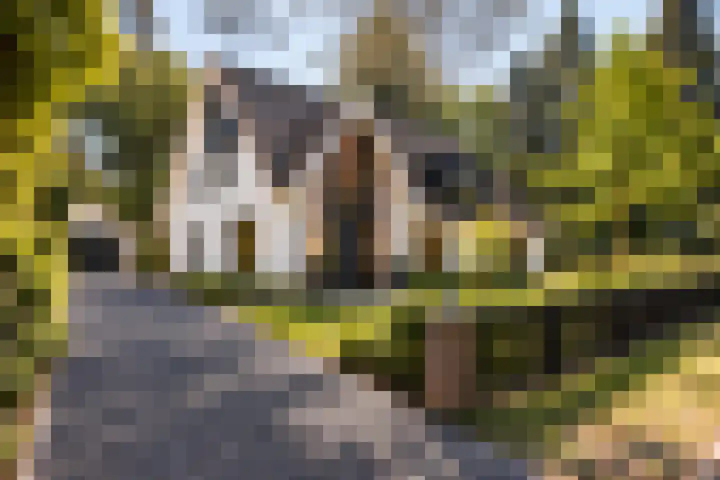 Sophialaan 46 Ermelo thumbnail 4