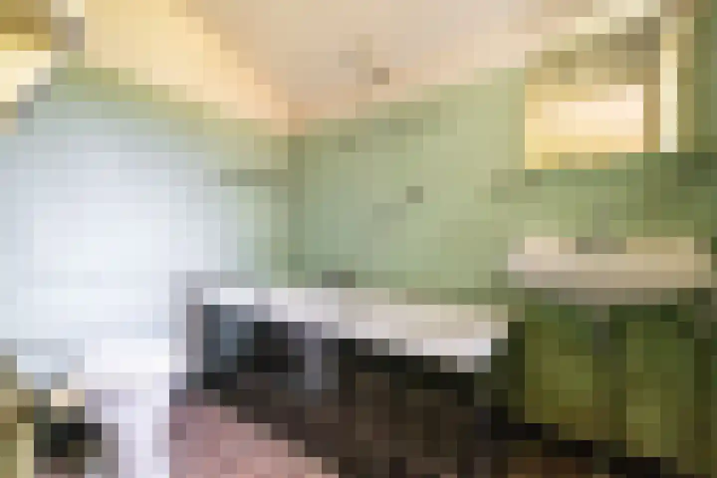 Sophialaan 46 Ermelo thumbnail 43