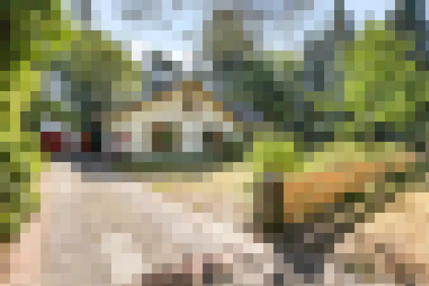 Sophialaan 46 Ermelo thumbnail 45