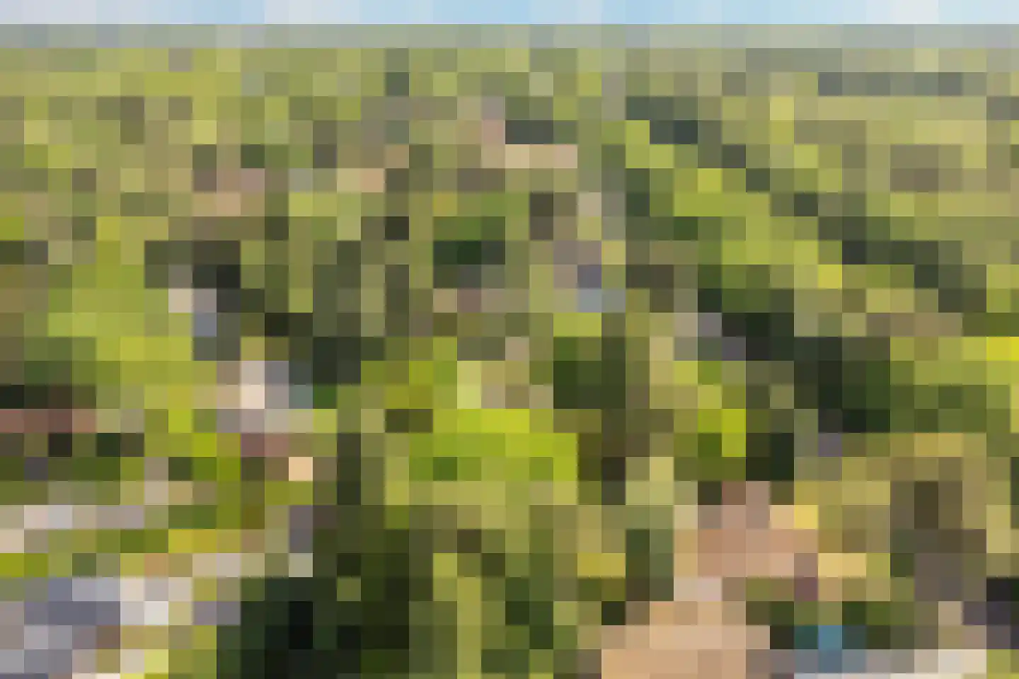 Sophialaan 46 Ermelo thumbnail 5