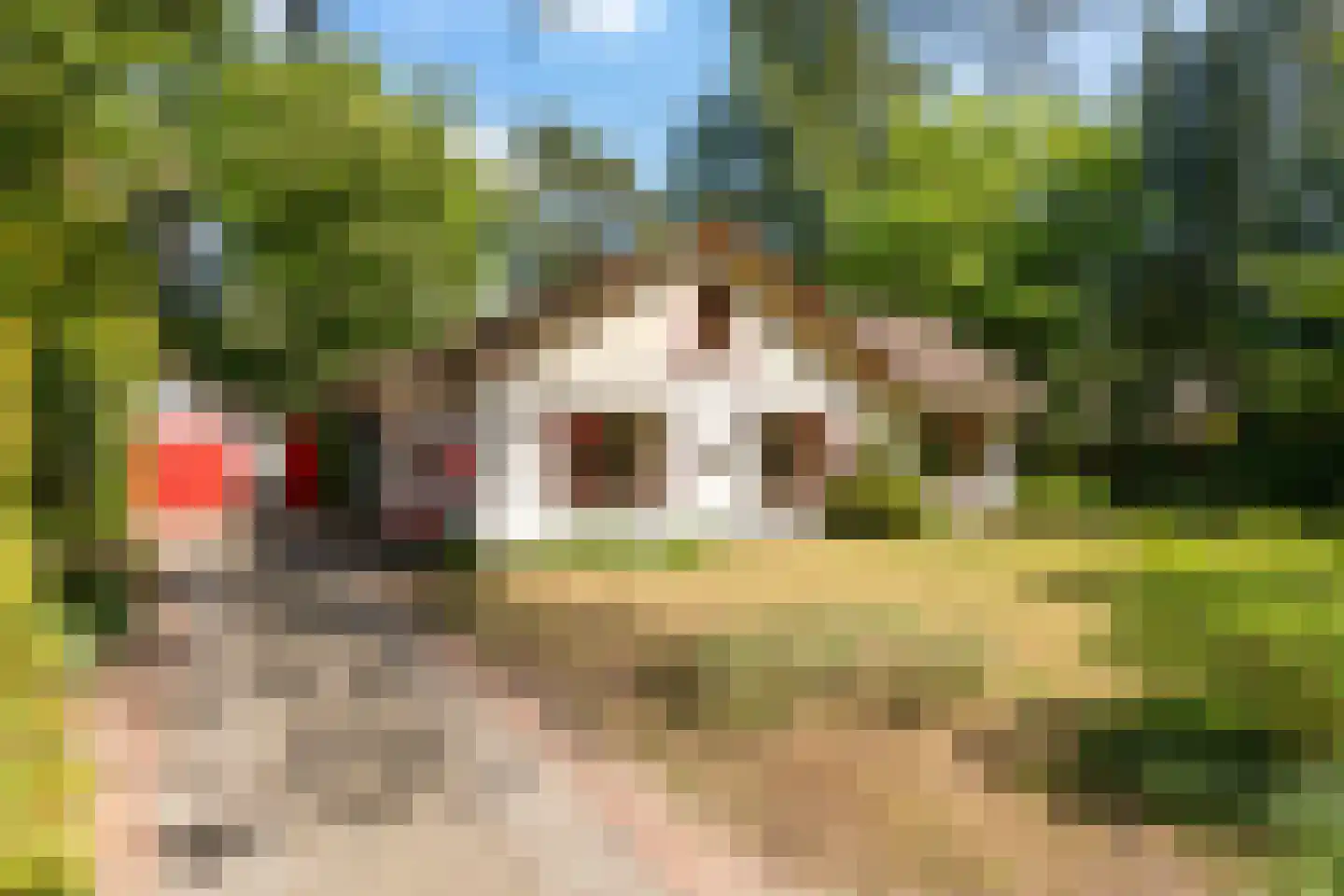 Sophialaan 46 Ermelo thumbnail 5
