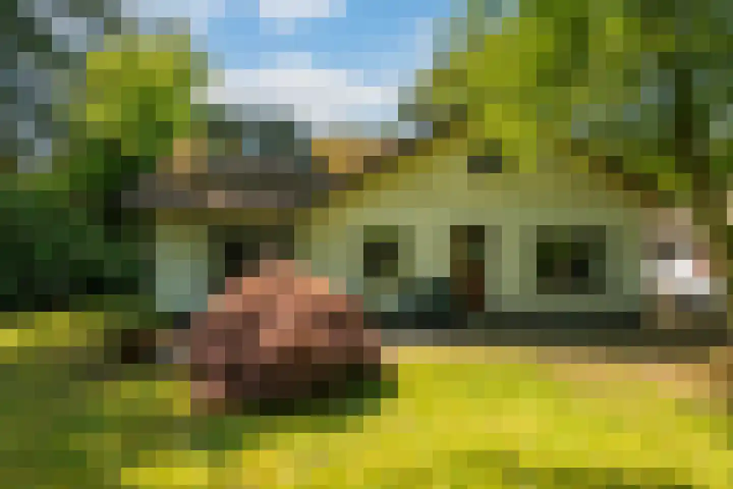 Sophialaan 46 Ermelo thumbnail 50