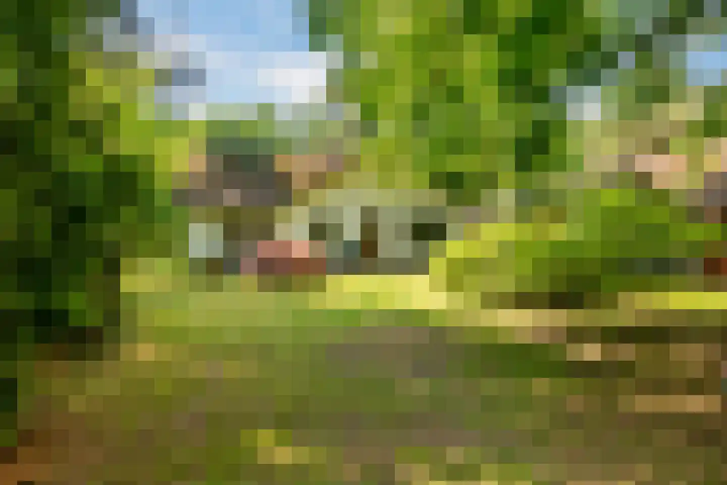 Sophialaan 46 Ermelo thumbnail 51